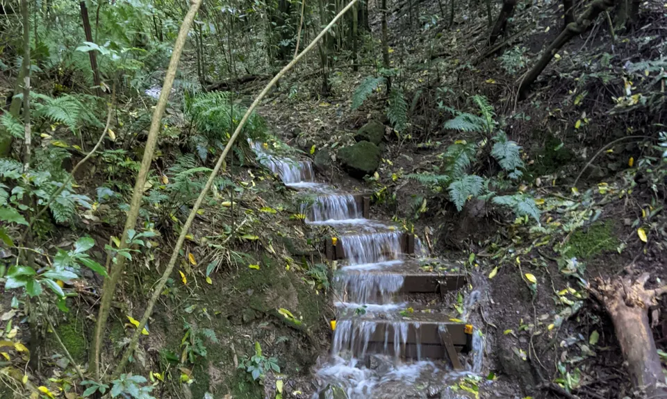 Jimmy Lee Creek, Tasman