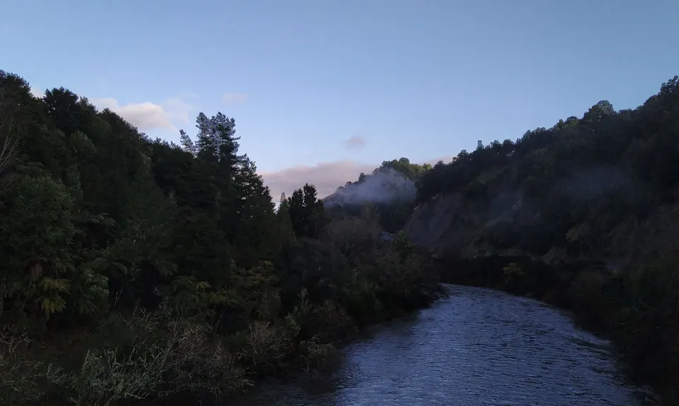 Te Maire Track, Manawatu - Wanganui