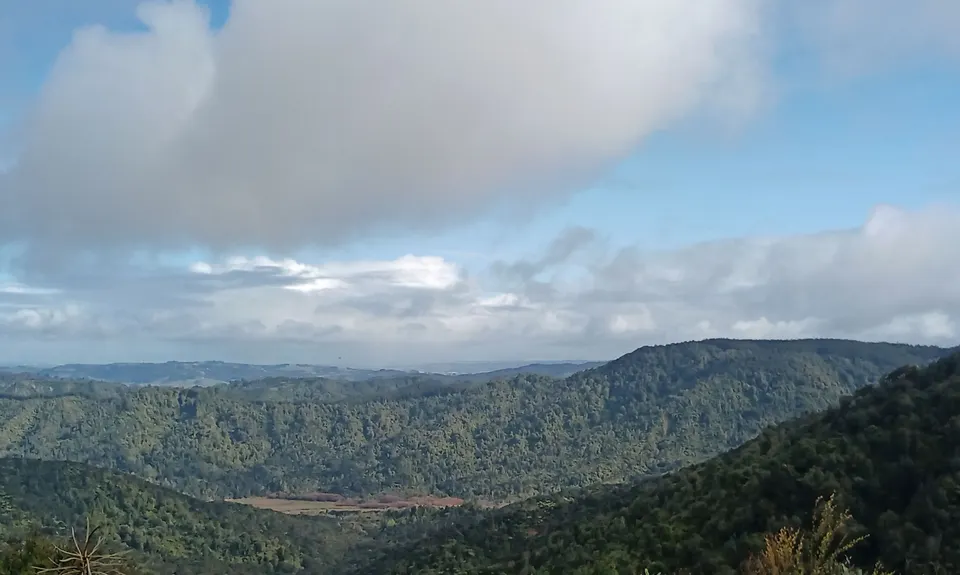Ernie's loop, Auckland