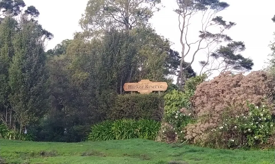 Harker Reserve to Vivian Falls, Waikato