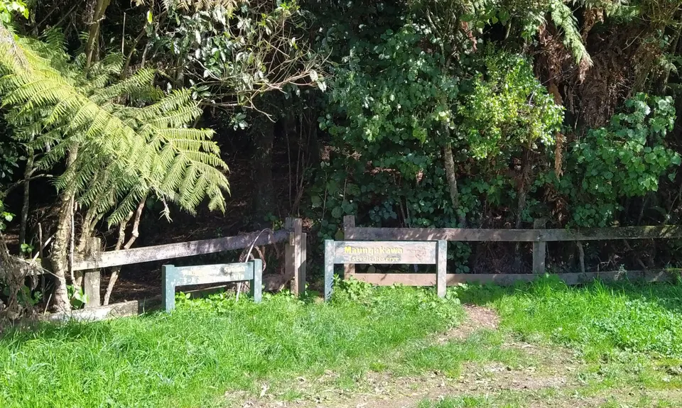 Maungakawa Ankle Breaker, Waikato