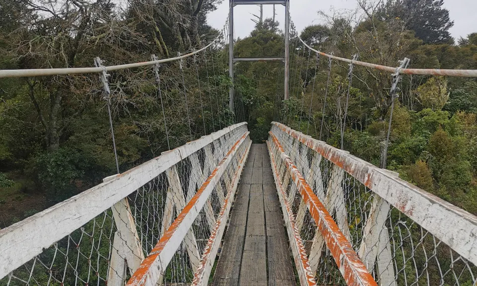 Tongariro River Trail, Waikato