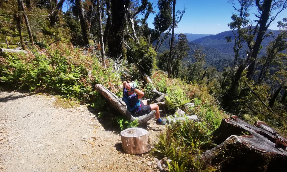 The Paparoa, West Coast
