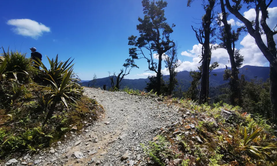 The Paparoa, West Coast