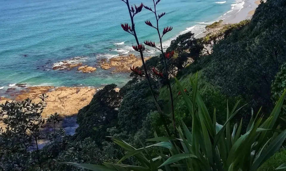 Mangawhai Heads , Northland