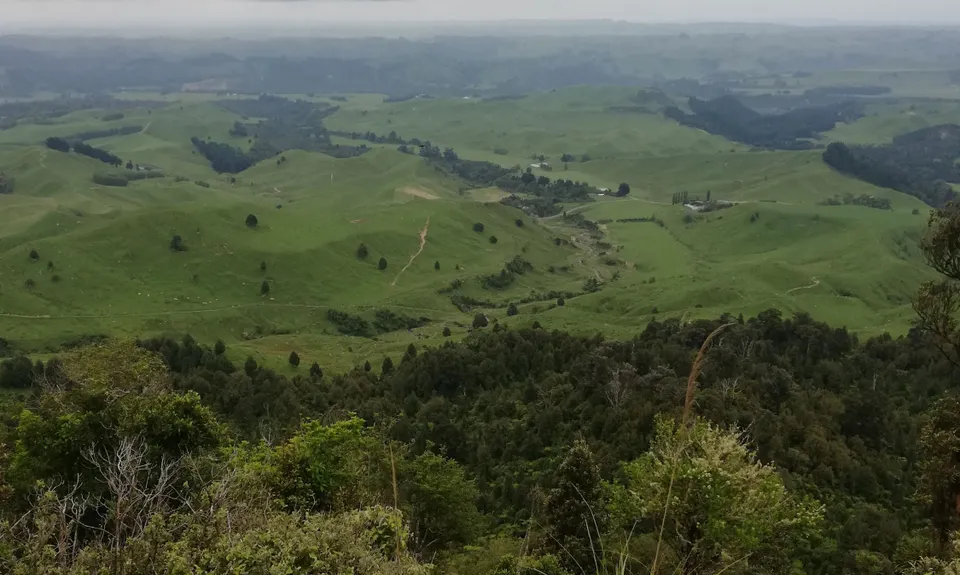 Maharahara