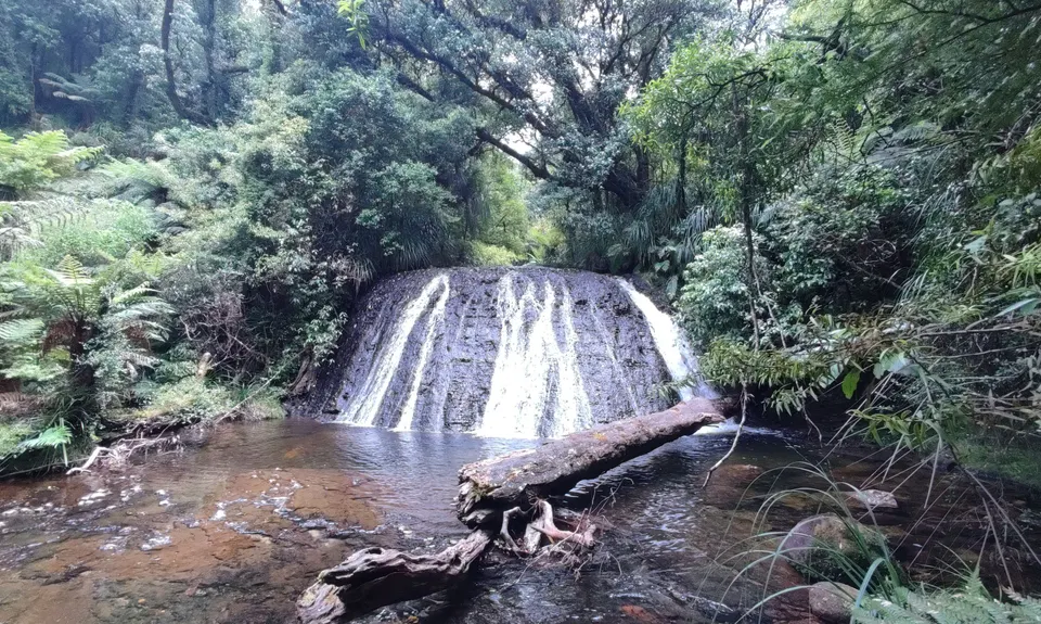 Whakamarama Loop, Bay of Plenty