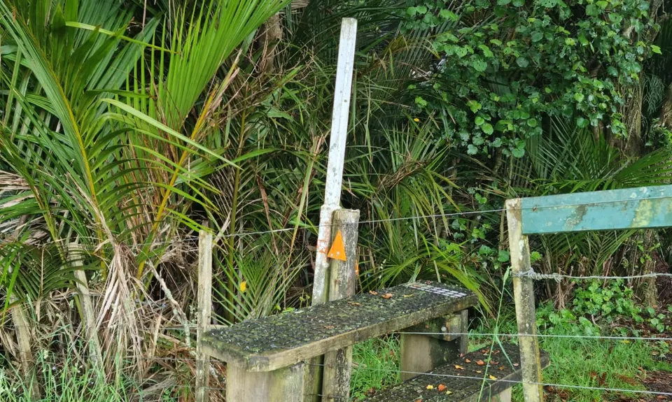 Karamu Walkway South, Waikato