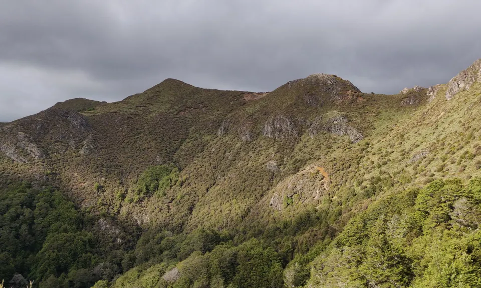 Te Ruatakaikare