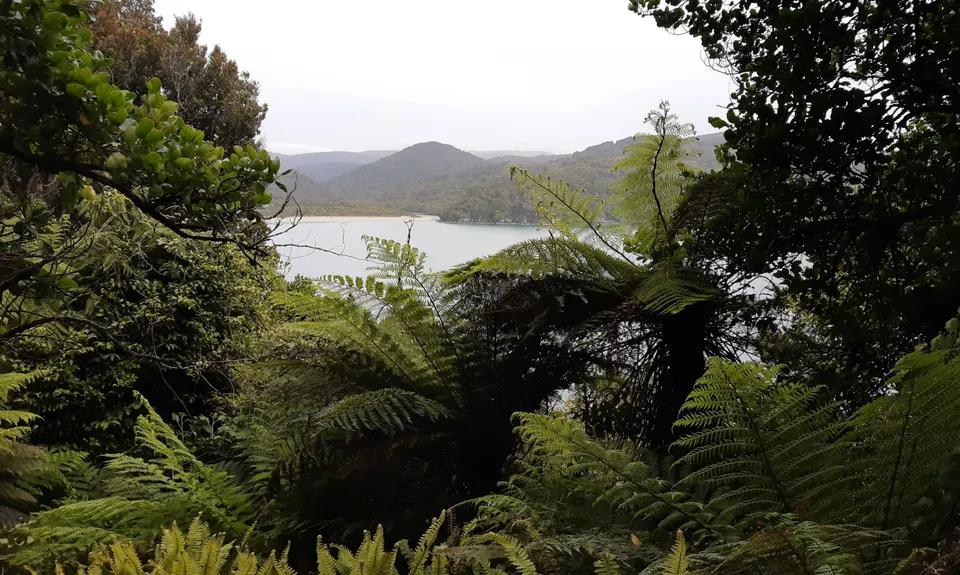 Bungaree Half Marathon +, Southland