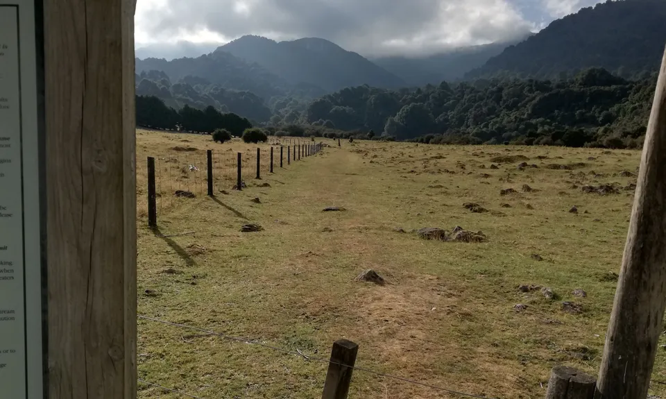 Knights - Shorts loop track with Toka peak, Manawatu - Wanganui
