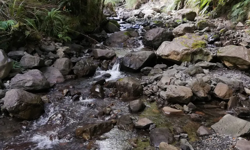 Knights - Shorts loop track with Toka peak, Manawatu - Wanganui