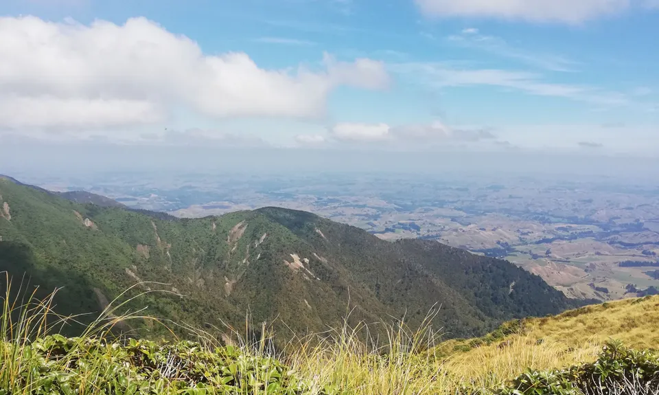 Knights - Shorts loop track with Toka peak, Manawatu - Wanganui