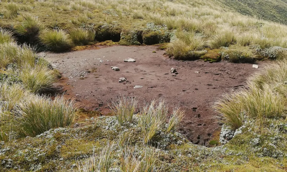 Knights - Shorts loop track with Toka peak, Manawatu - Wanganui