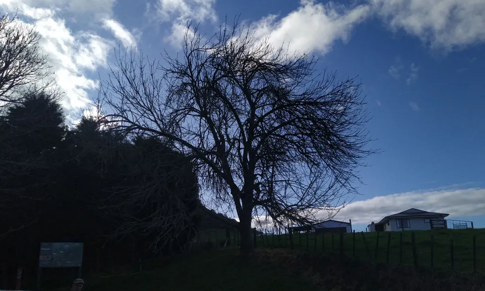 Kakepuku Climb, Waikato