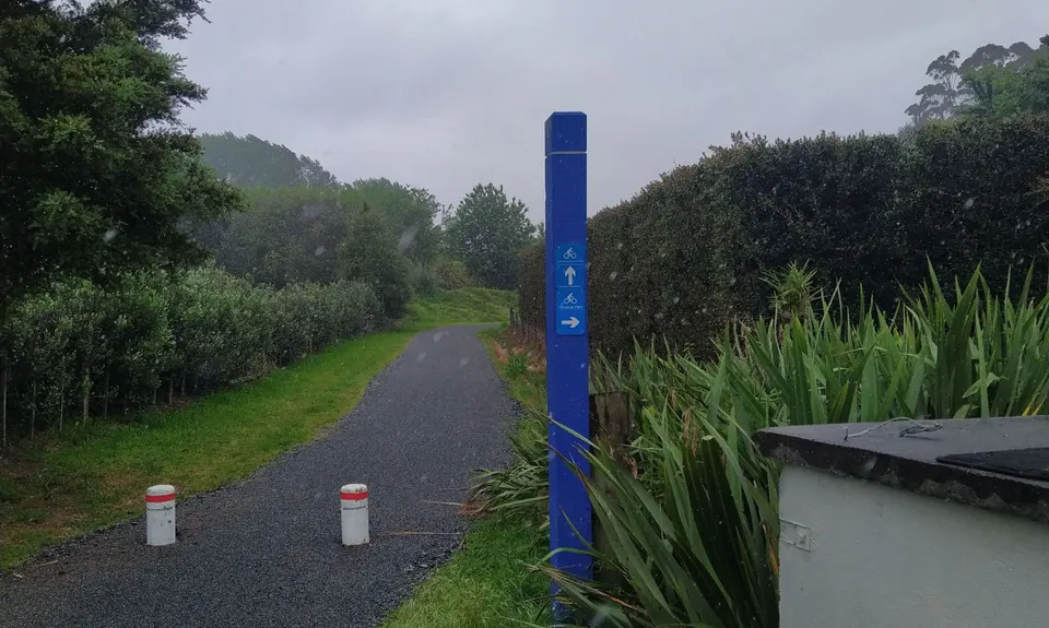 Omokoroa Seaside Caper, Bay of Plenty