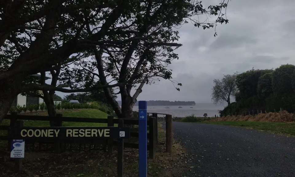 Omokoroa Seaside Caper, Bay of Plenty