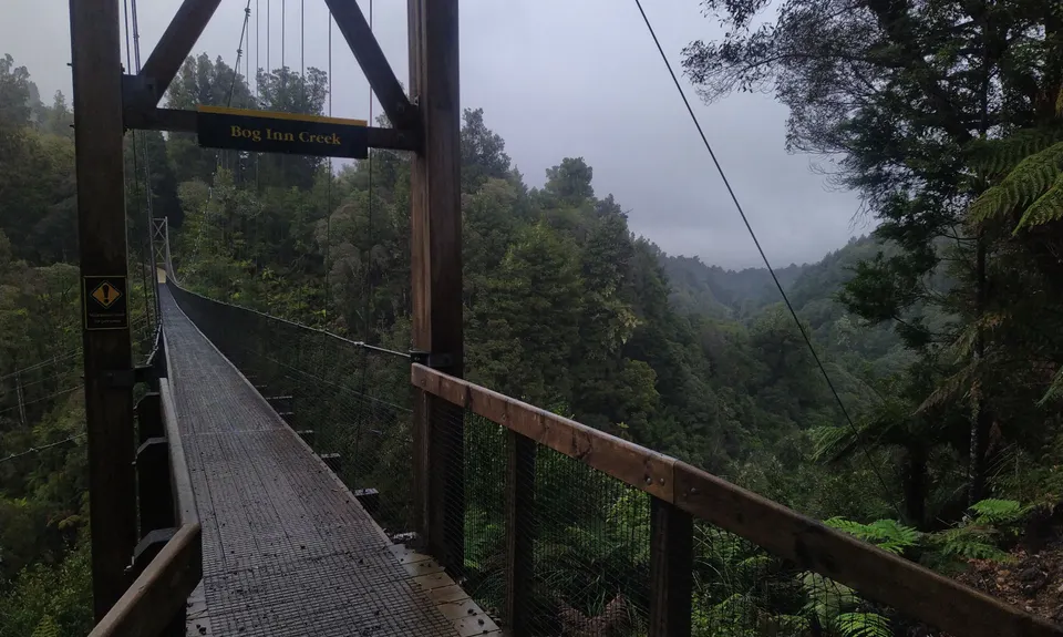 Timber Trail, Waikato