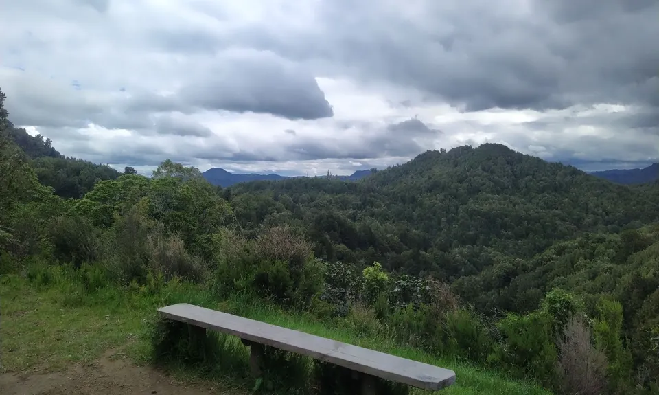 Timber Trail, Waikato