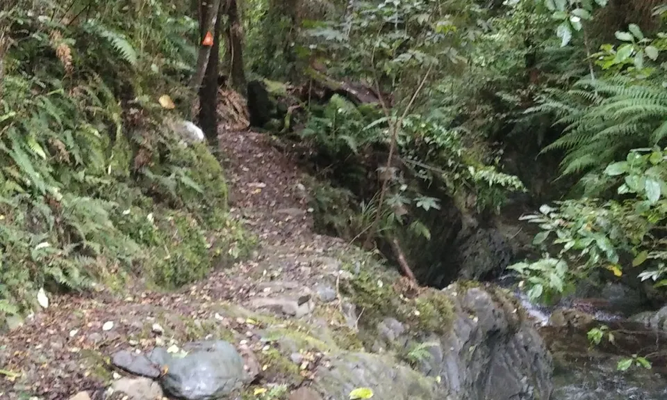 Hidden Valleys of Waimārama, Nelson