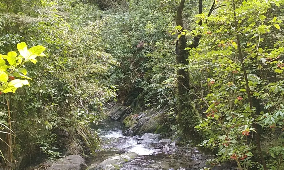 Hidden Valleys of Waimārama, Nelson