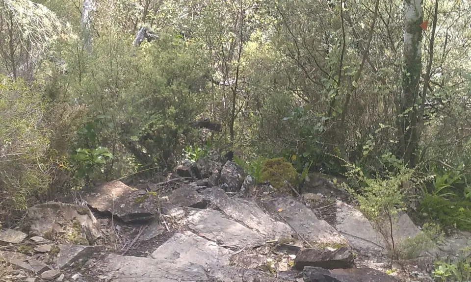 Hidden Valleys of Waimārama, Nelson