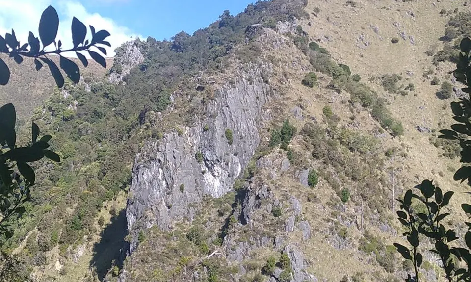 Champion Circuit, Nelson