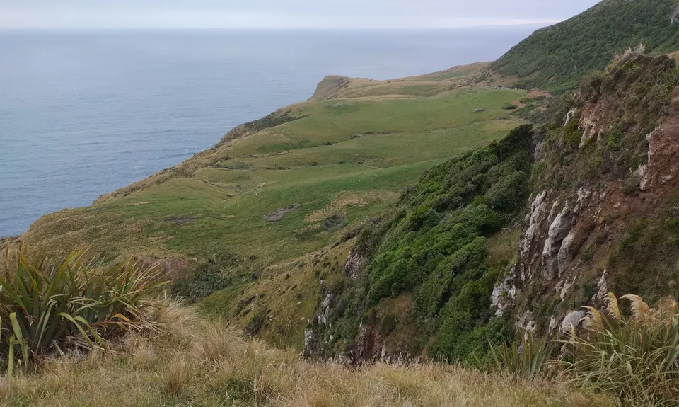 Sandymount - Sandfly Bay Loop, Otago