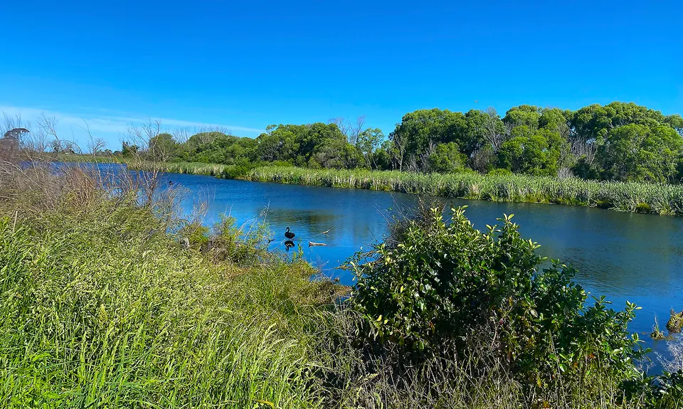 Lagoon-a-Seeker, Marlborough