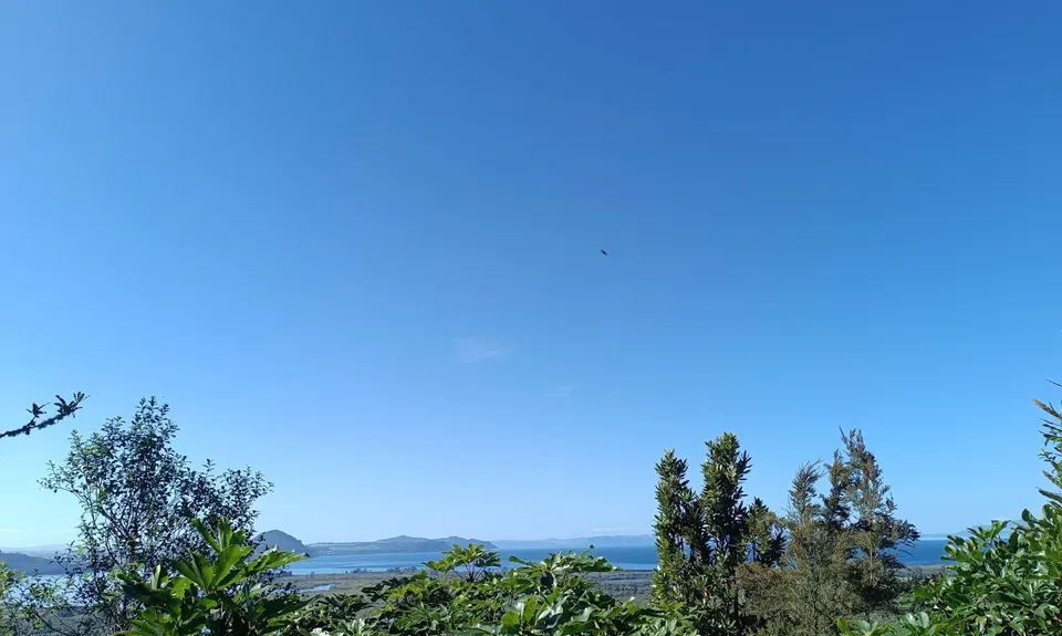 Maunganamu