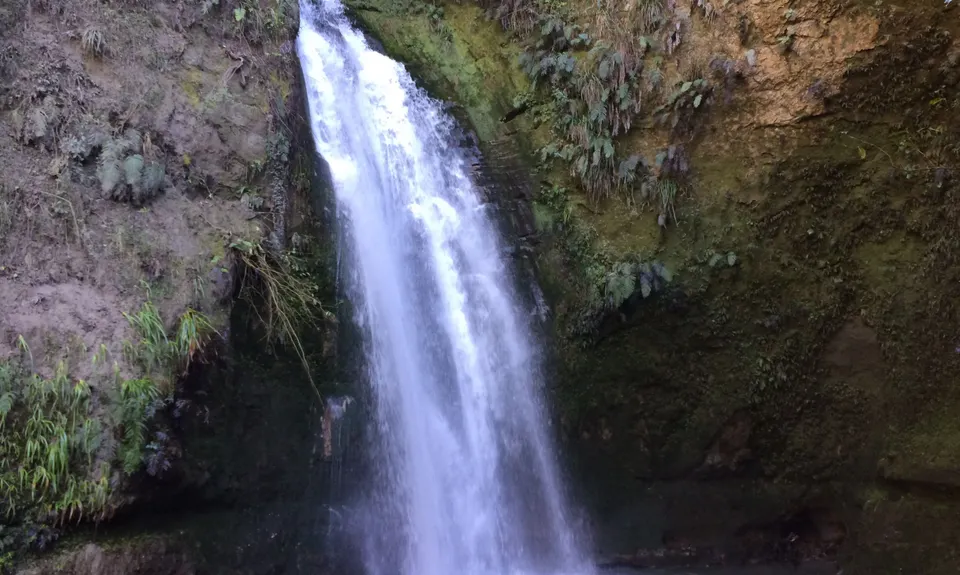 Tangoio Tumbler, Hawkes Bay