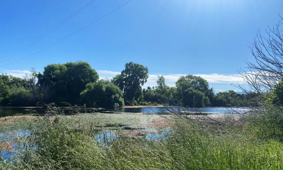 Lagoon-a-Seeker, Marlborough
