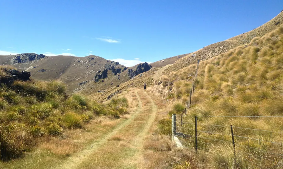 Grandview Mountain, Otago