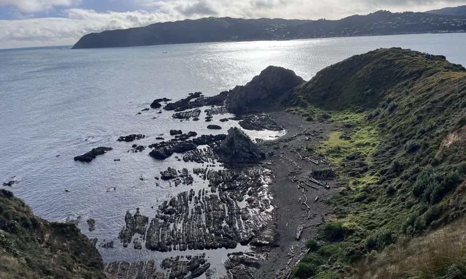 Whitireia Circuit, Wellington