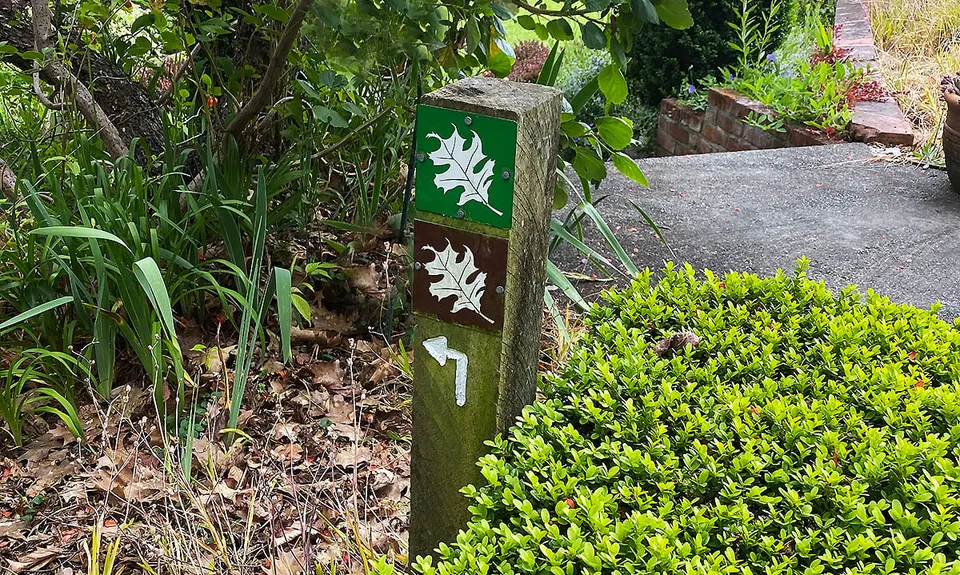 The National Arboretum, Gisborne