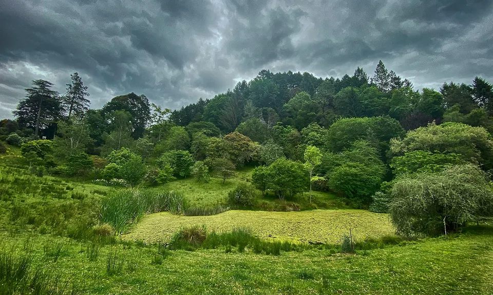 The National Arboretum, Gisborne
