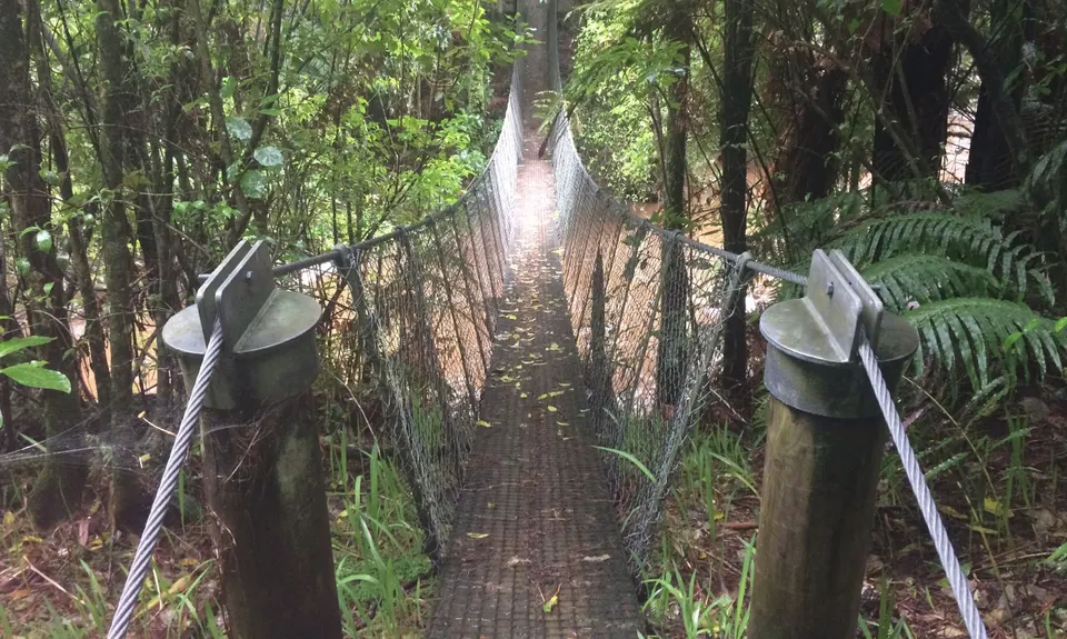 Lake Mangamahoe, Taranaki