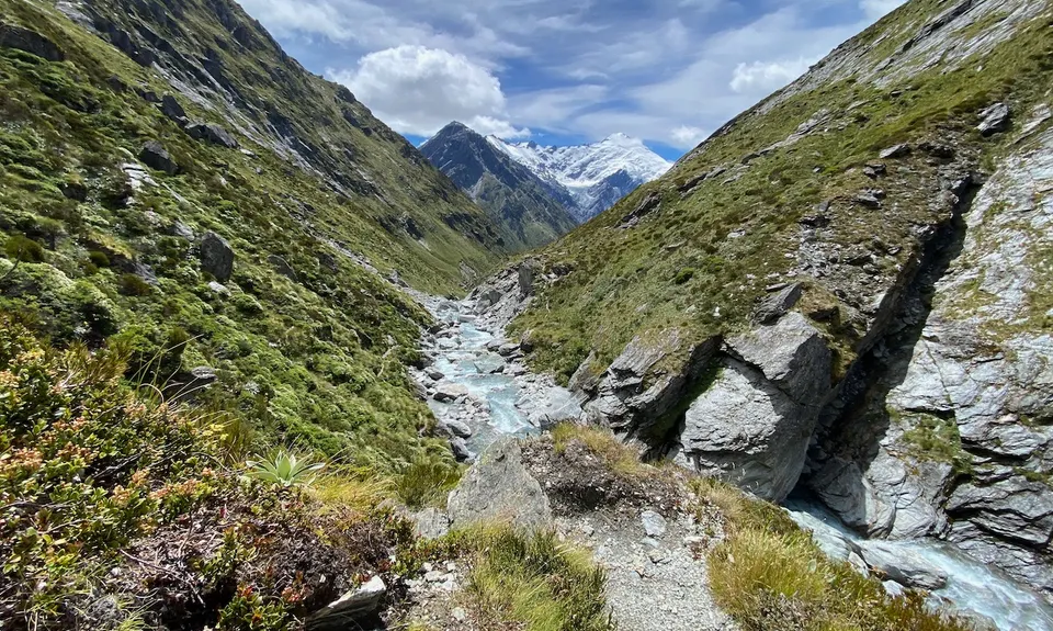 Rees - Cascade, Otago