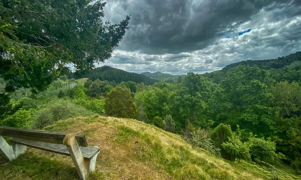 The National Arboretum, Gisborne