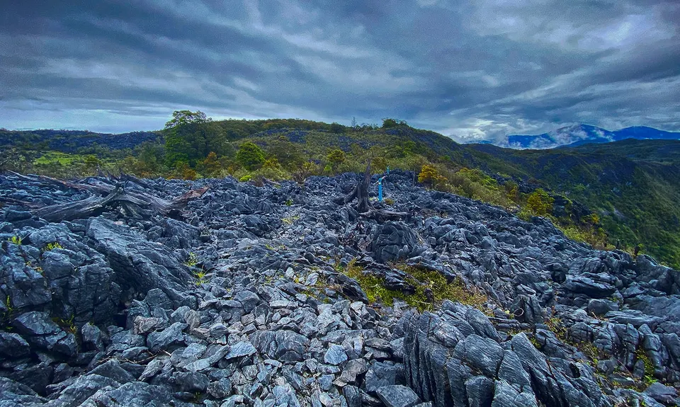 Takaka Hill Walkway, Tasman