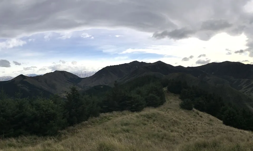 Te Moana short loop, Canterbury