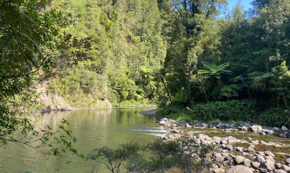 Ohinemuri to Waitawheta, Waikato
