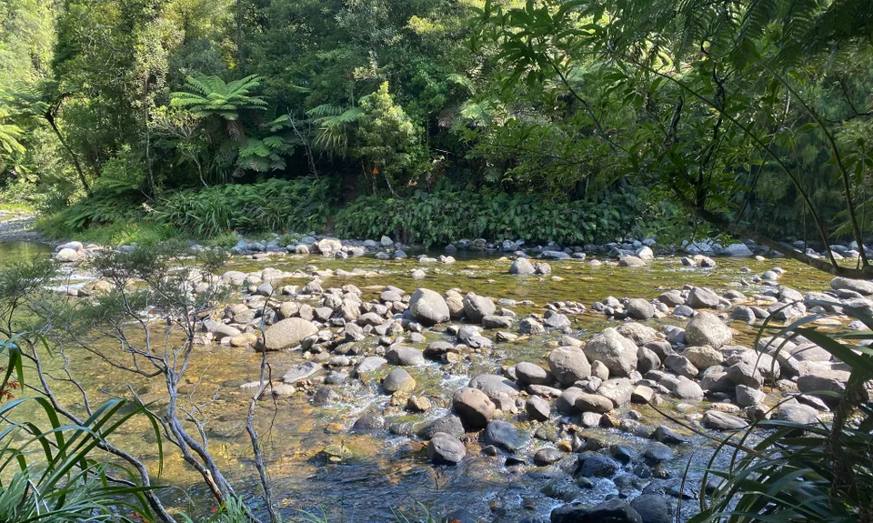 Ohinemuri to Waitawheta, Waikato