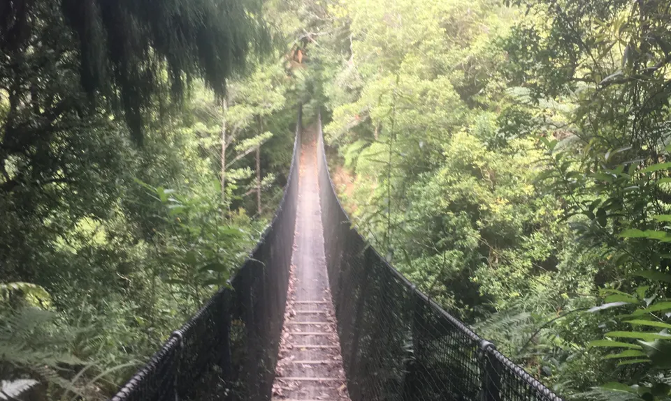 Waiorongomai Valley Adventures, Waikato