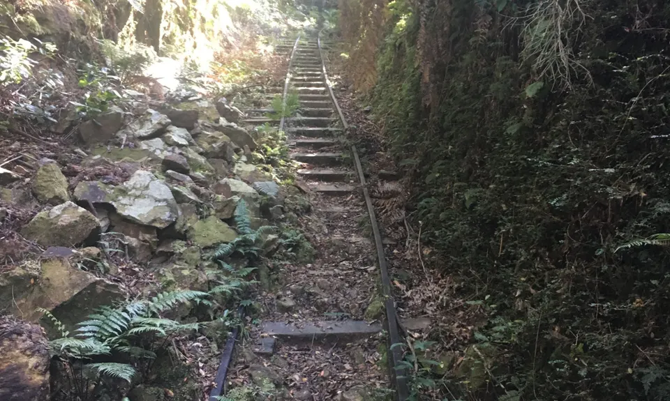 Waiorongomai Valley Adventures, Waikato