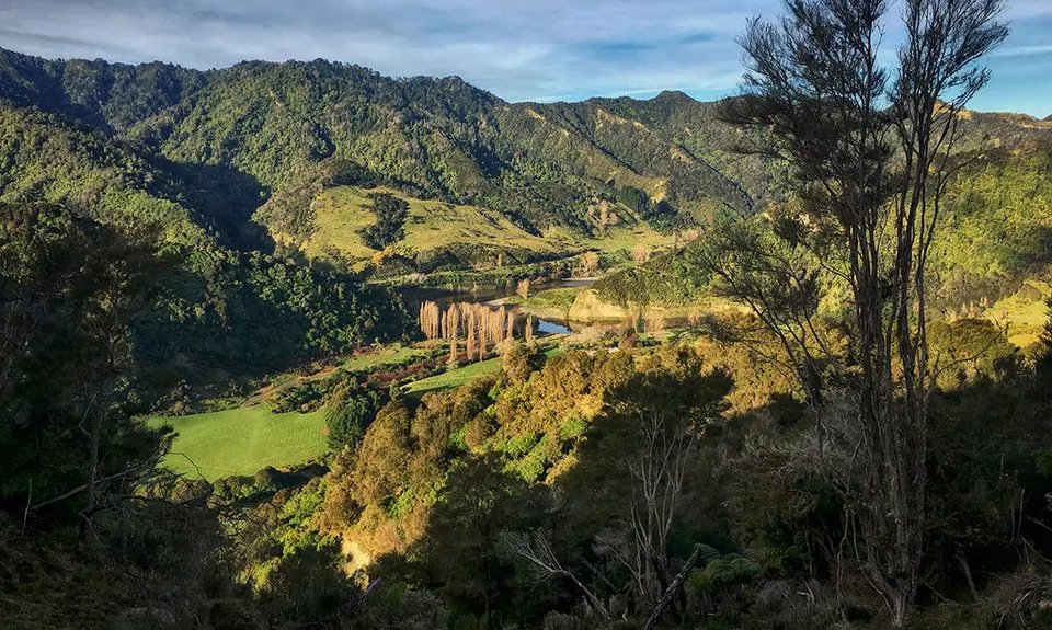 Atene Skyline Track, Manawatu - Wanganui