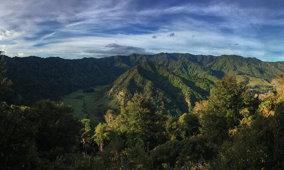 Atene Skyline Track, Manawatu - Wanganui