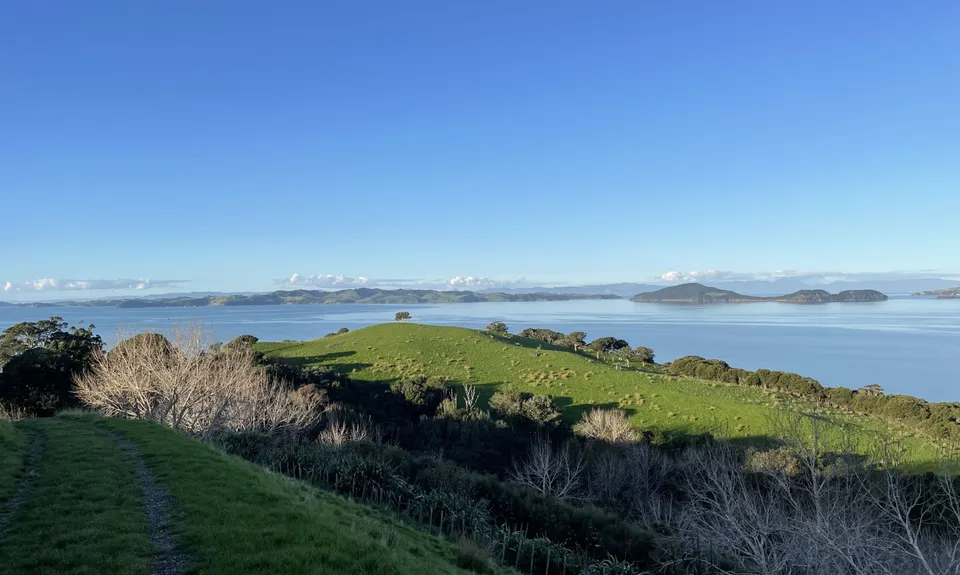 Duder Dude, Auckland