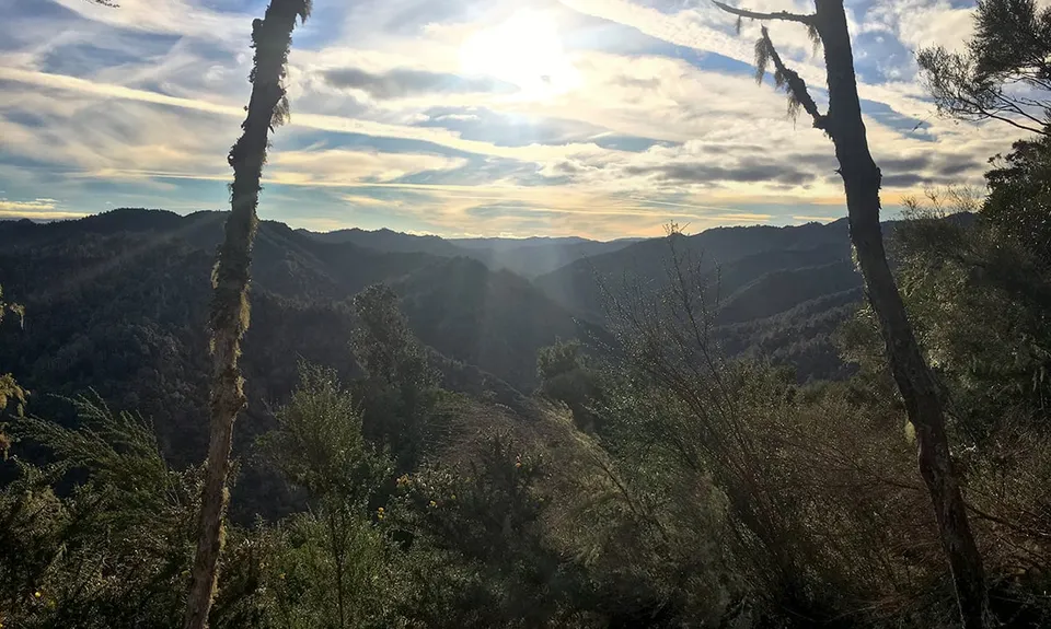 Atene Skyline Track, Manawatu - Wanganui