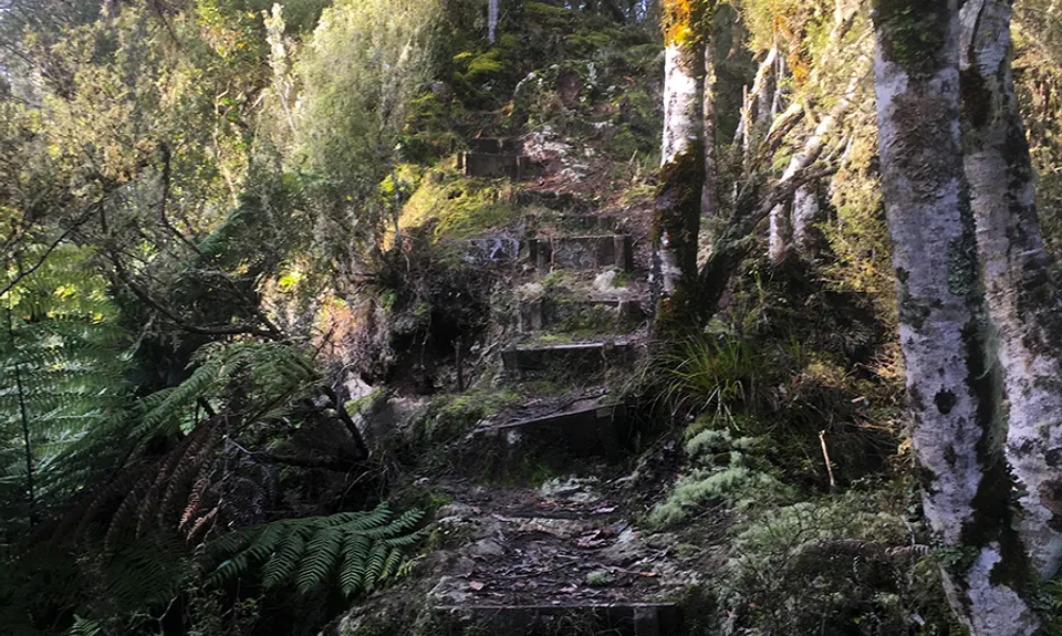 Atene Skyline Track, Manawatu - Wanganui